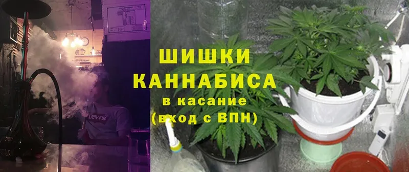 Канабис SATIVA & INDICA  где продают наркотики  Белореченск 